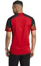 Vorschau: ADIDAS Herren Trikot RBFA H JSY