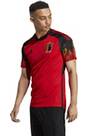 Vorschau: ADIDAS Herren Trikot RBFA H JSY