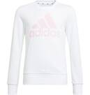 Vorschau: adidas Kinder Essentials Sweatshirt