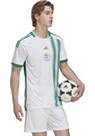 Vorschau: ADIDAS Herren Trikot FAF H JSY