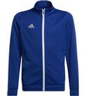 Vorschau: ADIDAS Kinder Jacke Entrada 22