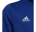 Vorschau: ADIDAS Kinder Jacke Entrada 22