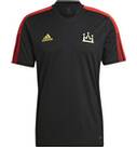 Vorschau: ADIDAS Herren Trikot SALAH TR JSY