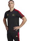 Vorschau: ADIDAS Herren Trikot SALAH TR JSY