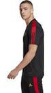 Vorschau: ADIDAS Herren Trikot SALAH TR JSY