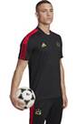 Vorschau: ADIDAS Herren Trikot SALAH TR JSY
