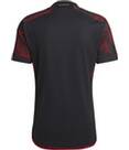 Vorschau: ADIDAS Herren Trikot DFB A JSY