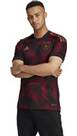 Vorschau: ADIDAS Herren Trikot DFB A JSY