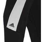 Vorschau: ADIDAS Herren Hose M FI BOS Pant