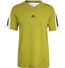 Vorschau: ADIDAS Herren Shirt M FI 3S Tee