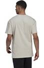 Vorschau: ADIDAS Herren Shirt M FV T