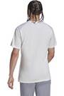 Vorschau: ADIDAS Herren Shirt TERREX Multi