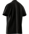 Vorschau: ADIDAS Herren Shirt M FV T