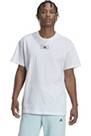 Vorschau: ADIDAS Herren Shirt M FV T