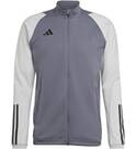 Vorschau: ADIDAS Herren Jacke Tiro 23 Competition (normal & lang)