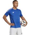 Vorschau: ADIDAS Herren Trikot Campeon 23