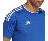 Vorschau: ADIDAS Herren Trikot Campeon 23