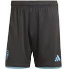 Vorschau: ADIDAS Herren Teamhose FC Arsenal 23/24 Auswärts