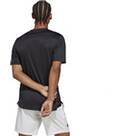 Vorschau: ADIDAS Herren Shirt Club Tennis