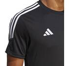 Vorschau: ADIDAS Herren Trikot Tiro 23 Club