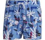 Vorschau: ADIDAS Herren Shorts FLO CLX VSL