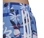 Vorschau: ADIDAS Herren Shorts FLO CLX VSL