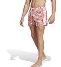 Vorschau: ADIDAS Herren Shorts FLO CLX VSL