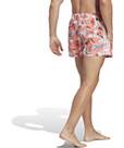 Vorschau: ADIDAS Herren Shorts FLO CLX VSL