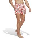 Vorschau: ADIDAS Herren Shorts FLO CLX VSL