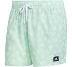 Vorschau: ADIDAS Herren Shorts BOS AOP CLX VSL