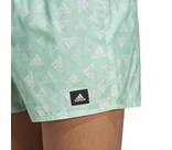 Vorschau: ADIDAS Herren Shorts BOS AOP CLX VSL