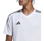 Vorschau: ADIDAS Herren Trikot Tiro 23 Competition Match