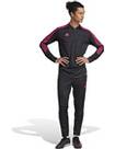 Vorschau: ADIDAS Herren Jacke TIRO23 CB TRTOP