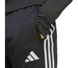 Vorschau: ADIDAS Herren Sporthose Tiro 23 Club Winterized