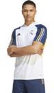 Vorschau: ADIDAS Herren Trikot Real Madrid Tiro 23 (normal & lang)