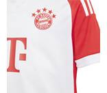 Vorschau: ADIDAS Kinder Trikot FC Bayern München 23/24 Kids Heim