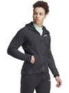 Vorschau: ADIDAS Herren Jacke TERREX Techrock Wind