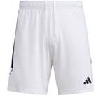 Vorschau: ADIDAS Herren Shorts Tiro 23 League