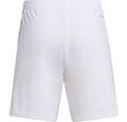 Vorschau: ADIDAS Herren Shorts Tiro 23 League