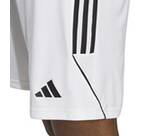 Vorschau: ADIDAS Herren Shorts Tiro 23 League