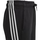 Vorschau: ADIDAS Kinder Hose Future Icons 3-Streifen Cotton