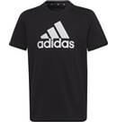 Vorschau: ADIDAS Kinder Shirt Essentials Big Logo Cotton