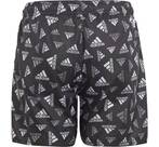 Vorschau: ADIDAS Kinder Badeshorts Logo Print CLX