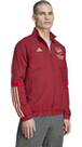 Vorschau: ADIDAS Herren Fanjacke FC Arsenal Tiro 23