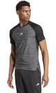 Vorschau: ADIDAS Herren Shirt Gym+ Training 3-Streifen