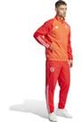 Vorschau: ADIDAS Herren Fanhose FCB PRE PNT