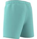 Vorschau: ADIDAS Kinder Badeshorts Sportswear Essentials Logo CLX Kids