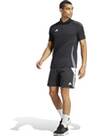 Vorschau: ADIDAS Herren Shorts Tiro 24 Sweat