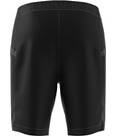 Vorschau: ADIDAS Herren Shorts Terrex Xperior Mid