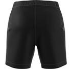 Vorschau: ADIDAS Damen Shorts Terrex Xperior Mid